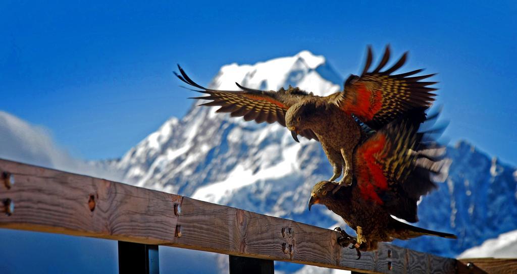 Hotel Glentanner Park Centre Mount Cook  Exterior foto